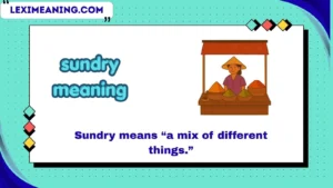 sundry meaning