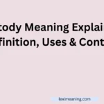 Custody Meaning Explained