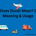 What Does Dunki Mean?