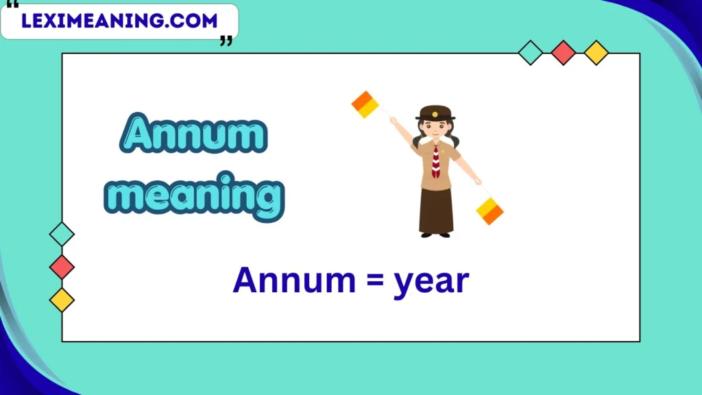 annum meaning