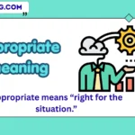 appropriate meaning