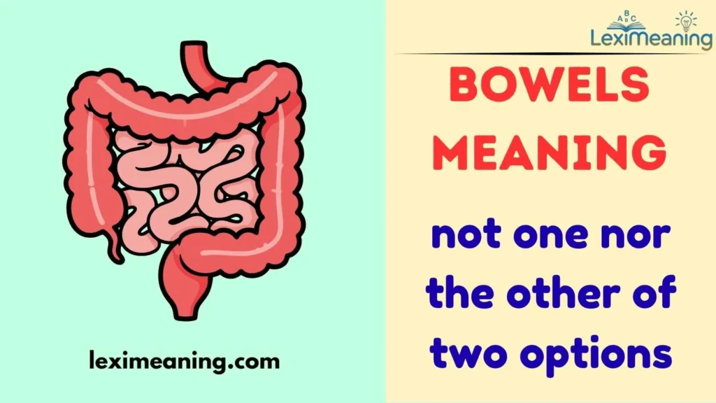 Bowels Meaning