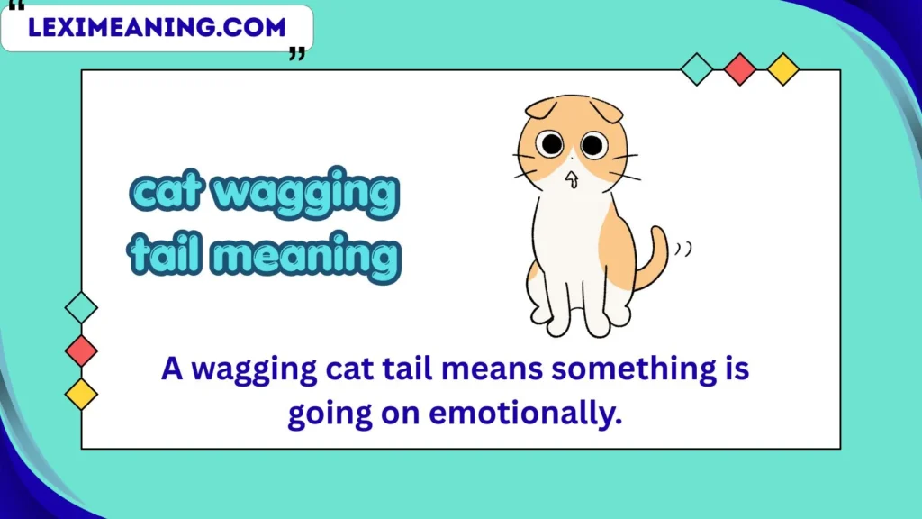 cat wagging tail meaning