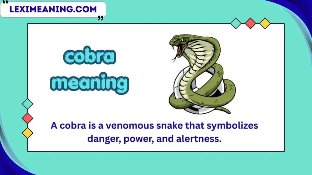 cobra meaning