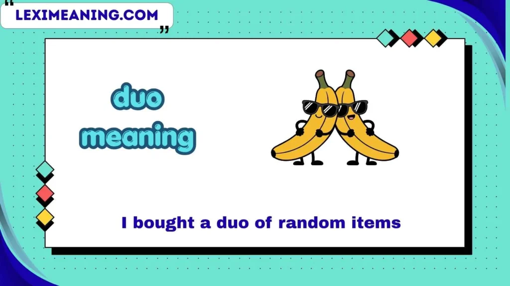 duo meaning