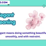 elegant meaning
