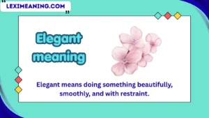 elegant meaning