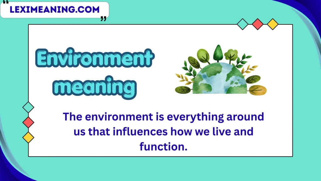environment meaning