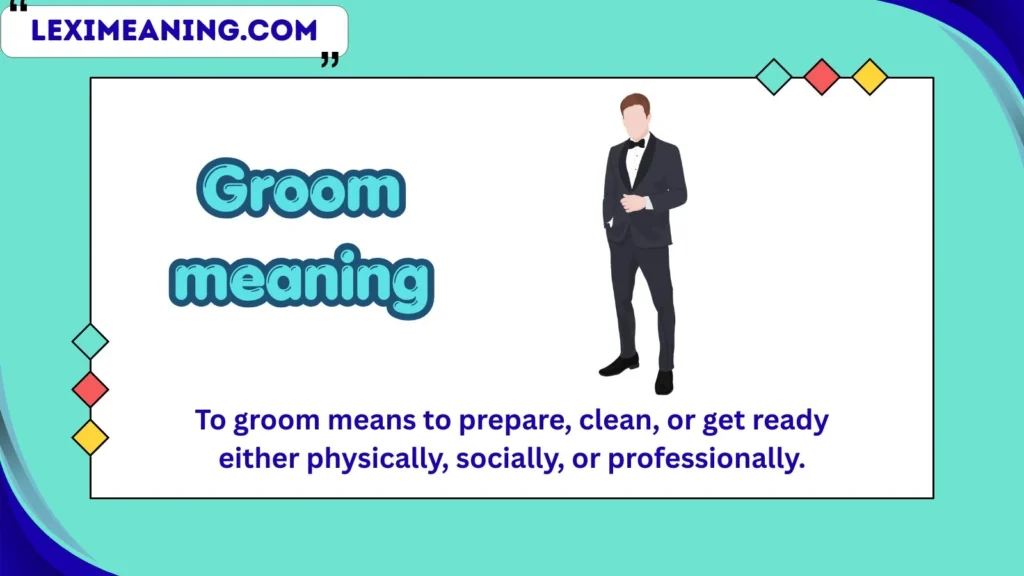groom meaning
