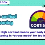 high cortisol meaning