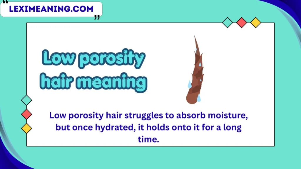 low porosity hair meaning