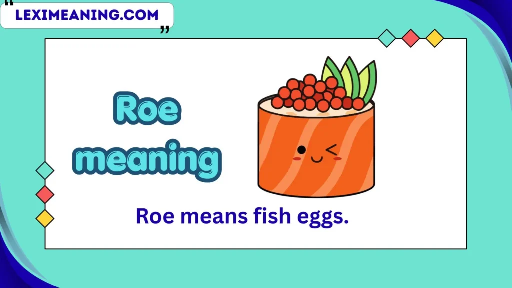 roe meaning