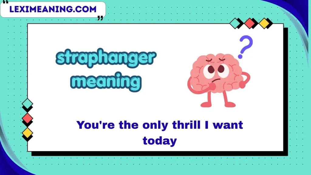 straphanger meaning