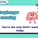 straphanger meaning