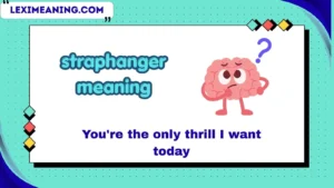 straphanger meaning