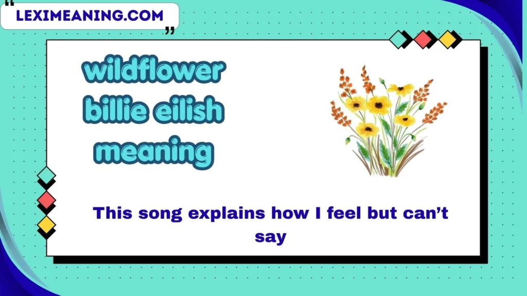 wildflower billie eilish meaning