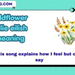 wildflower billie eilish meaning