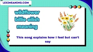 wildflower billie eilish meaning