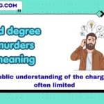 3rd degree murders meaning