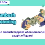 ambush meaning